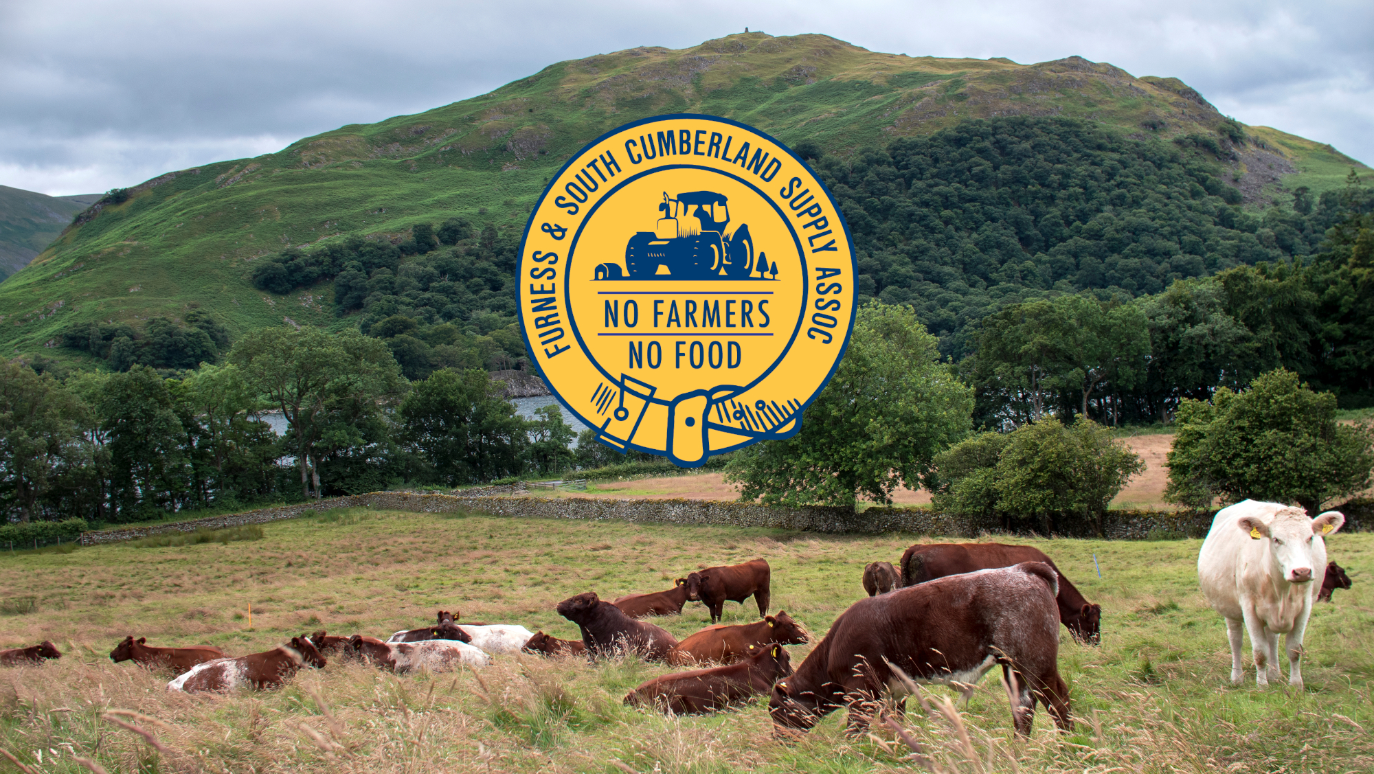 Furness & South Cumberland Supply Association Ltd